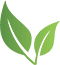Top Exporter in India