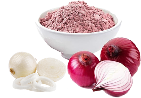 Top Exporter Company in India | Glee Impex