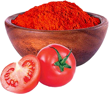 Top Exporter Company in India | Glee Impex